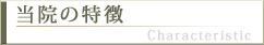 特徴紹介